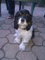 Portrait de Gribouille69