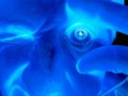 Portrait de cercliste