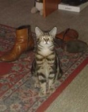 Portrait de LilyCalcio