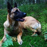 Portrait de Baptistecim