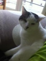 Portrait de NasiGoreng14