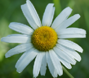 Portrait de DannyM20