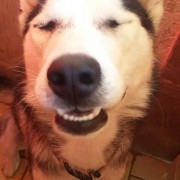 Portrait de naovalentin19