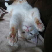 Portrait de Emilie25