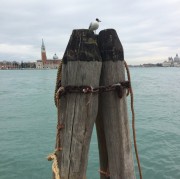 Portrait de Pinchlife44