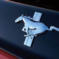 Portrait de Mustang57