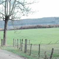 Portrait de Tobby123