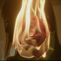 MelieRose